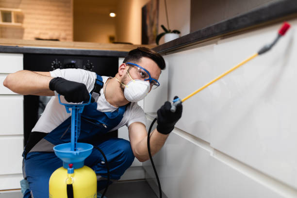 Best Emergency Pest Control  in Ballinger, TX