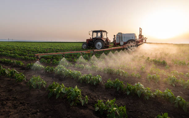 Best Pest Control Treatment  in Ballinger, TX