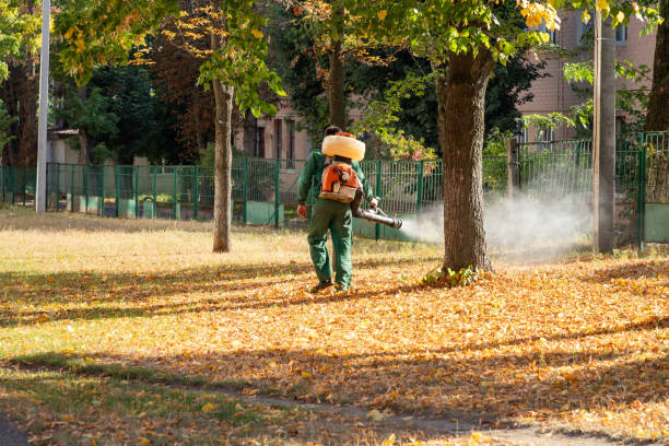 Best Commercial Pest Control Services  in Ballinger, TX